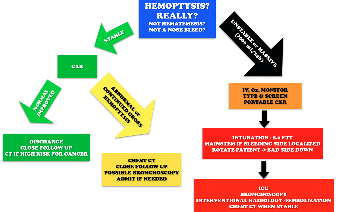 Hemoptysis Workup