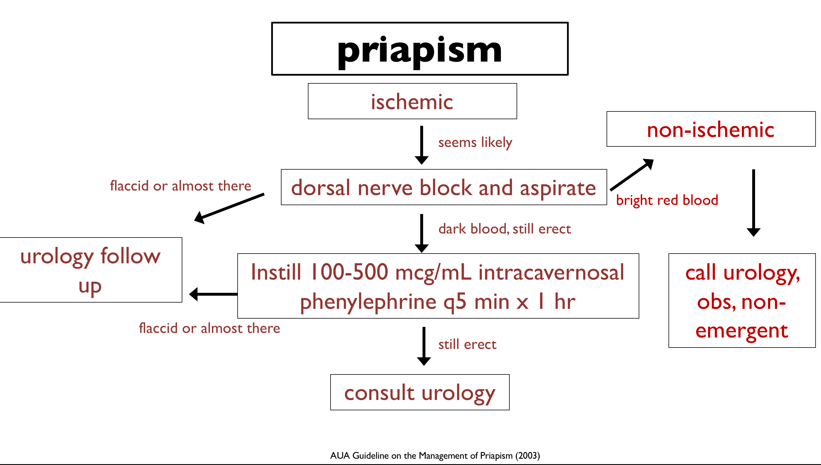 treatment options for priapism