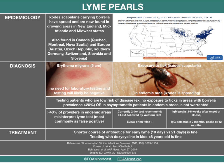 Lyme Disease (Borreliosis) | FOAMcast