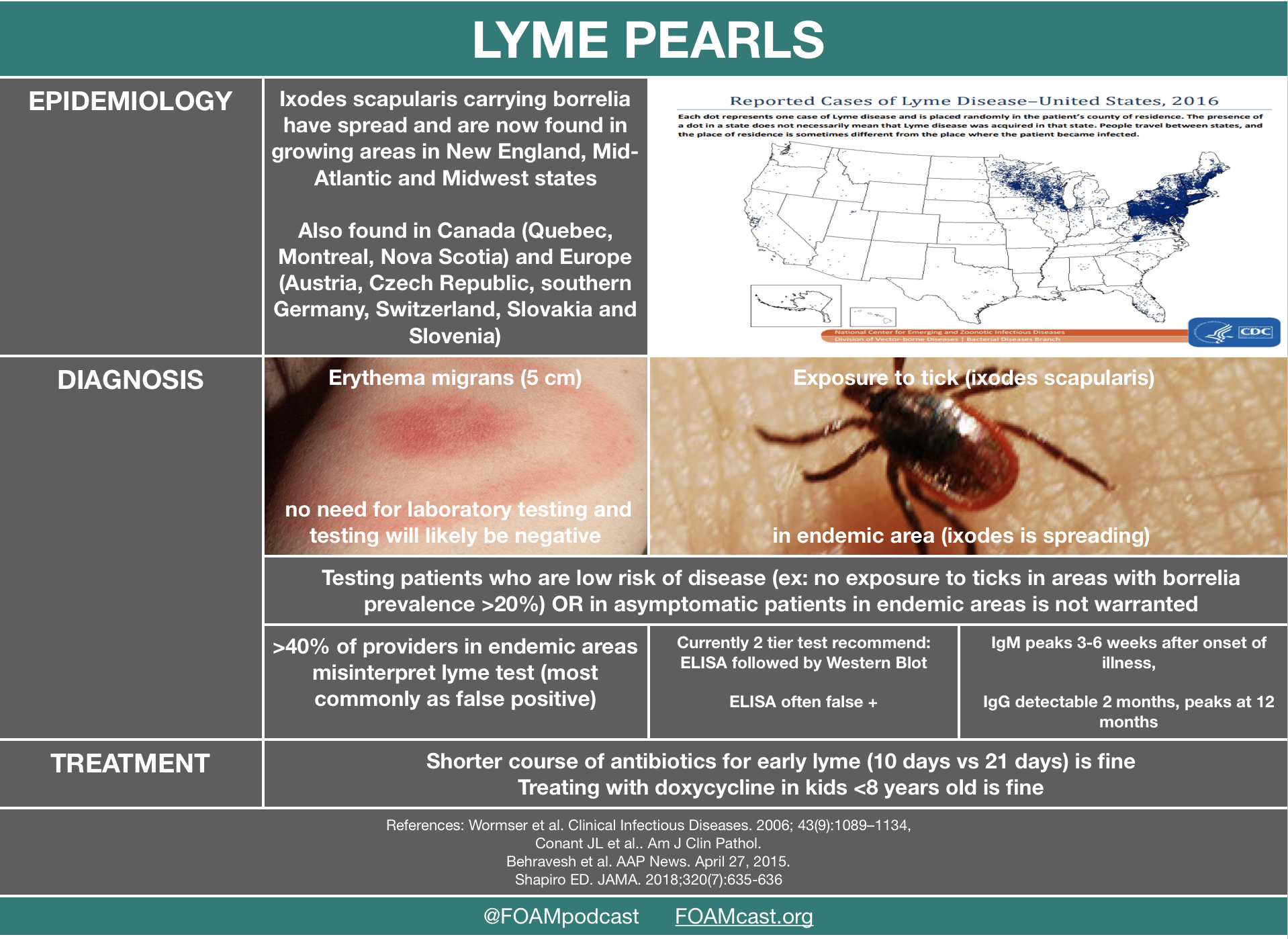 Lyme Disease Borreliosis Foamcast